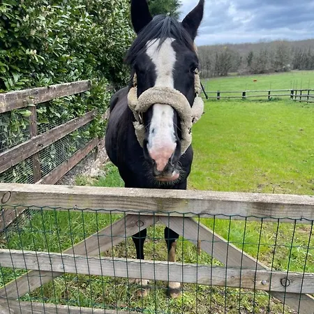 Les Grozilles Bed and Breakfast Feuillade