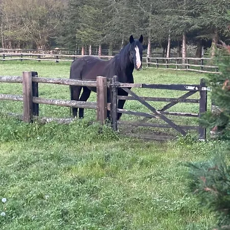 Bed and Breakfast Les Grozilles