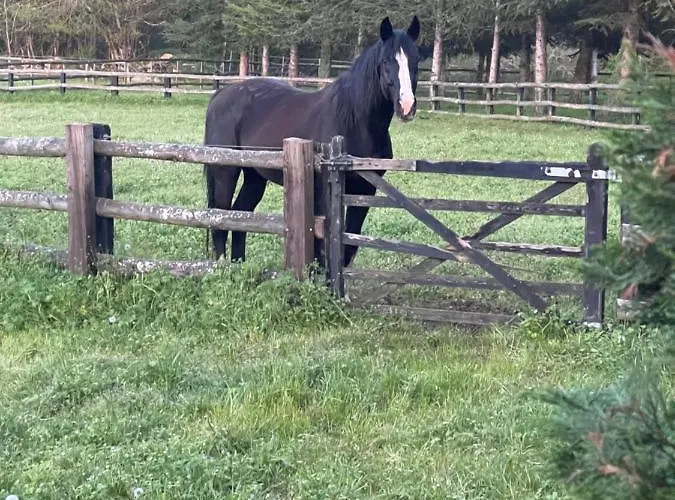 Alojamento de Acomodação e Pequeno-almoço Les Grozilles
